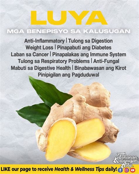 luya benefits.